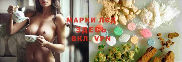 твердый Алзамай