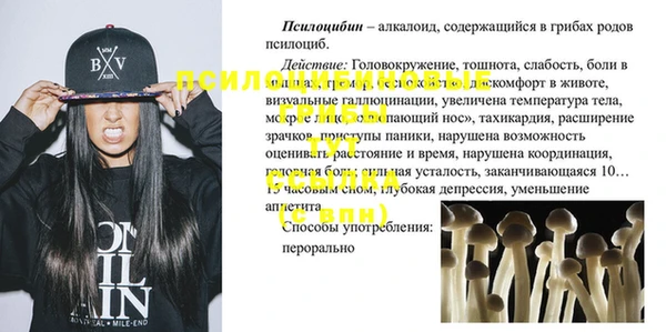 твердый Алзамай