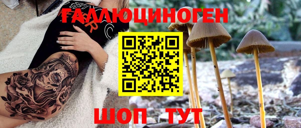 Псилоцибиновые грибы мухоморы Старый Оскол